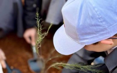 انطلاق حملة التشجير بكلية الصيدلة بجامعة بنغازي
